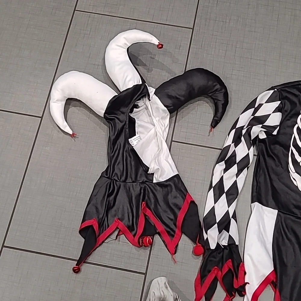 Sinister Jester Costume Medium - Picture 2 of 5